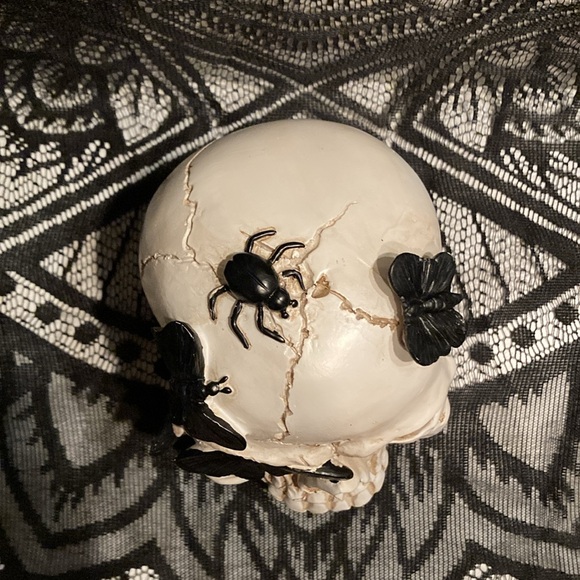 Distressed Faux Cracked Black Butterfly Resin Skull Tabletop Decor Piece - Picture 4 of 7